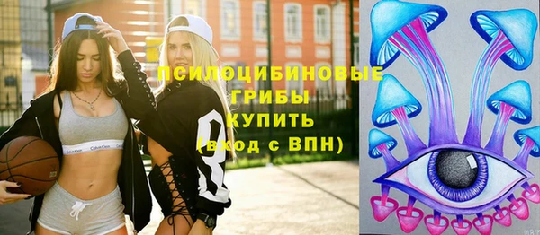 ГАЛЛЮЦИНОГЕННЫЕ ГРИБЫ Мегион